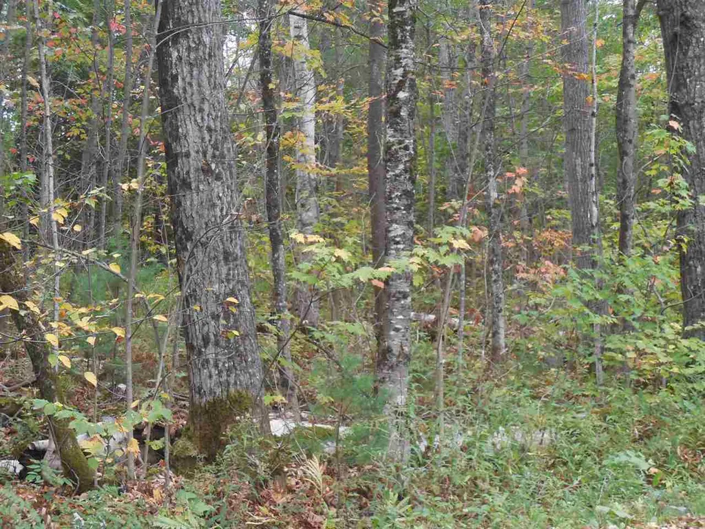 00 Sand Hill Road Woodbury VT 05681