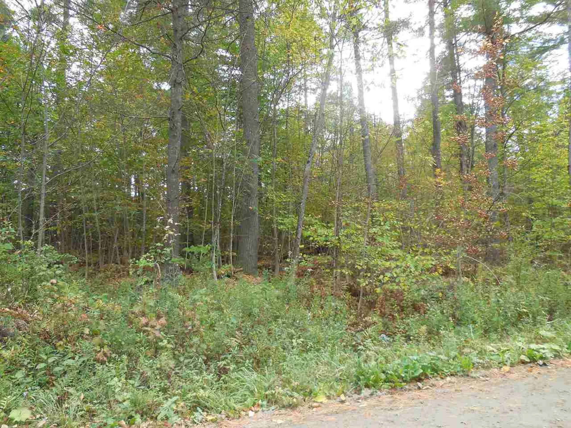 00 Sand Hill Road Woodbury VT 05681