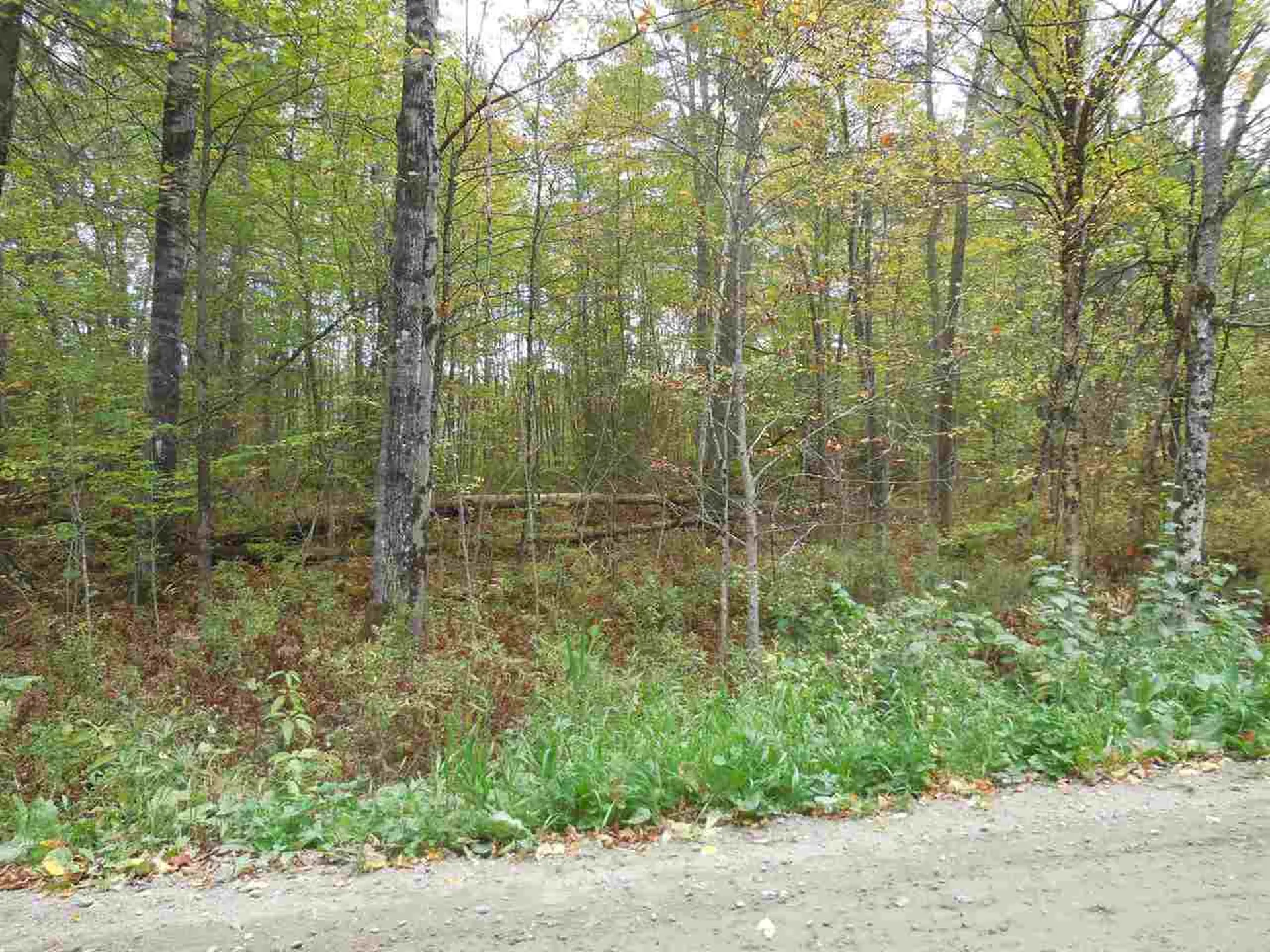 00 Sand Hill Road Woodbury VT 05681