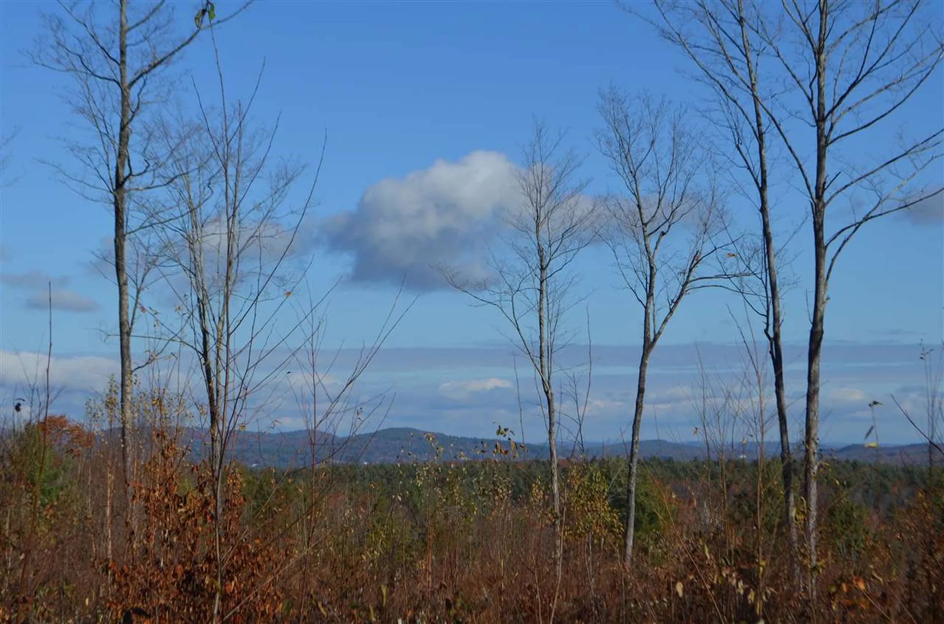 118 Bear Hill Road Henniker NH 03242