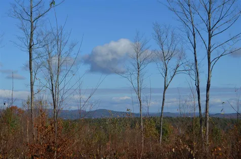 118 Bear Hill Road Henniker NH 03242