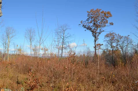 118 Bear Hill Road Henniker NH 03242
