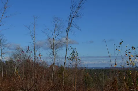 118 Bear Hill Road Henniker NH 03242