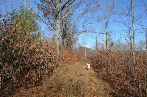 118 Bear Hill Road Henniker NH 03242