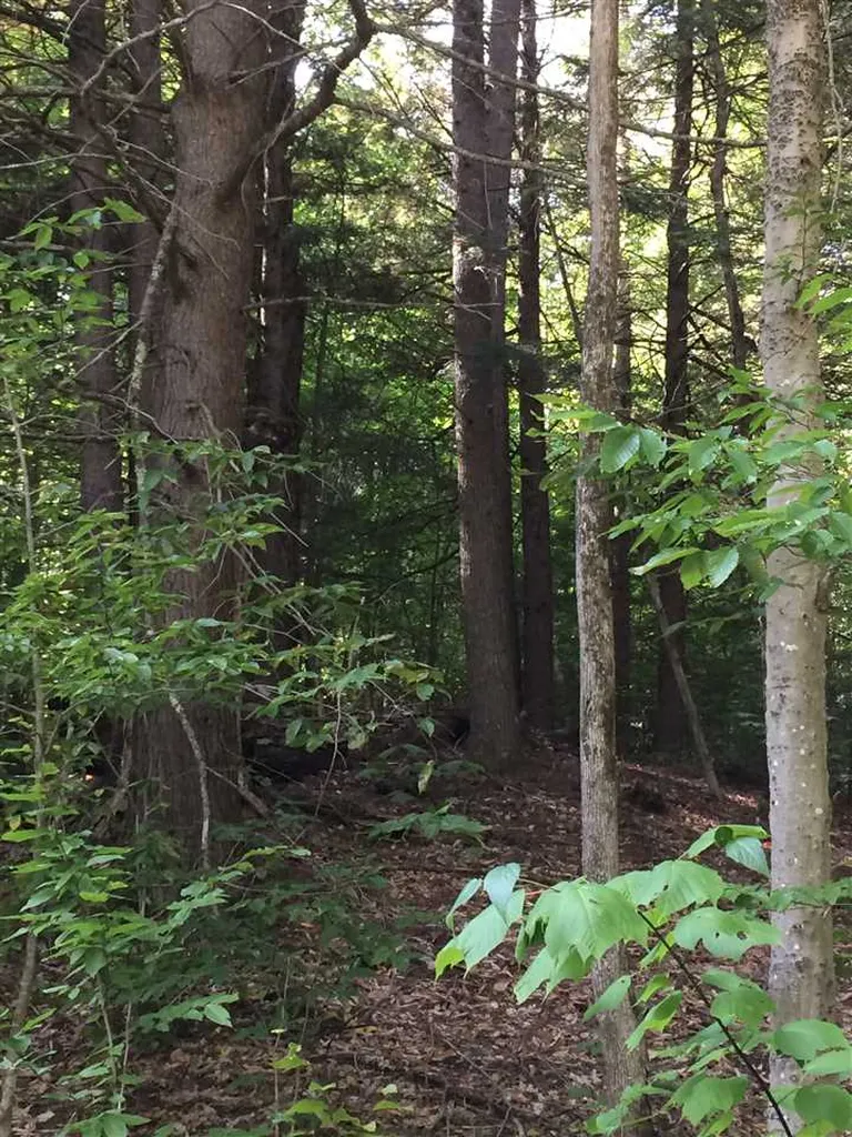 Cheever Road Wentworth NH 03282