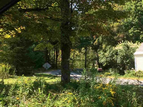 Cheever Road Wentworth NH 03282