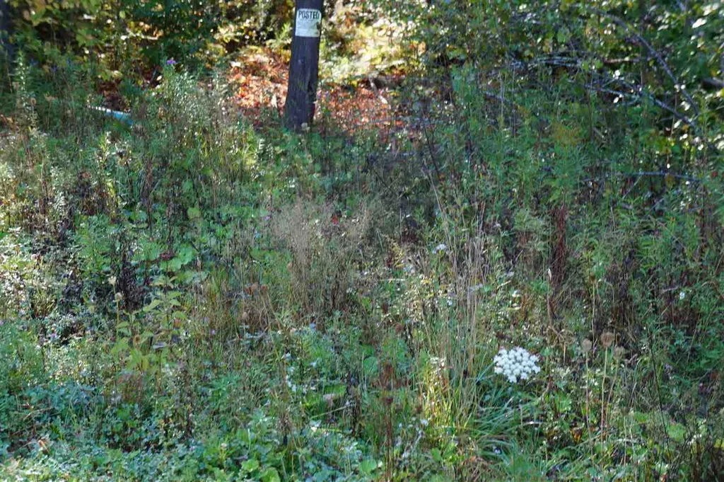 Al Monty Drive Barre Town VT 05641