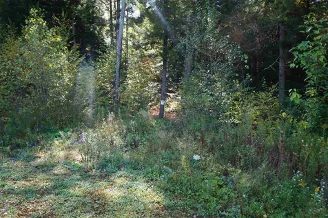 Al Monty Drive Barre Town VT 05641