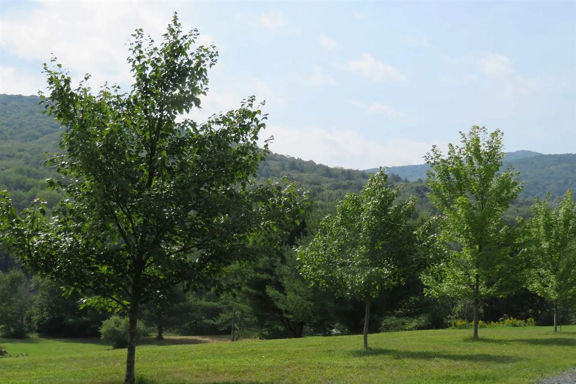 154 Deer Brook Way Woodstock VT 05091