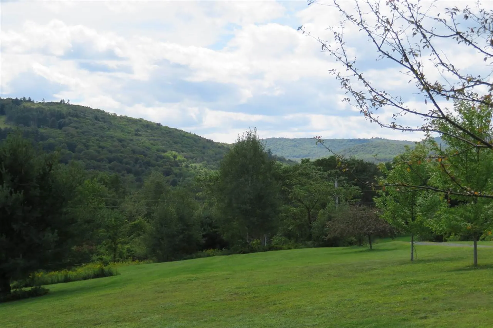 154 Deer Brook Way Woodstock VT 05091
