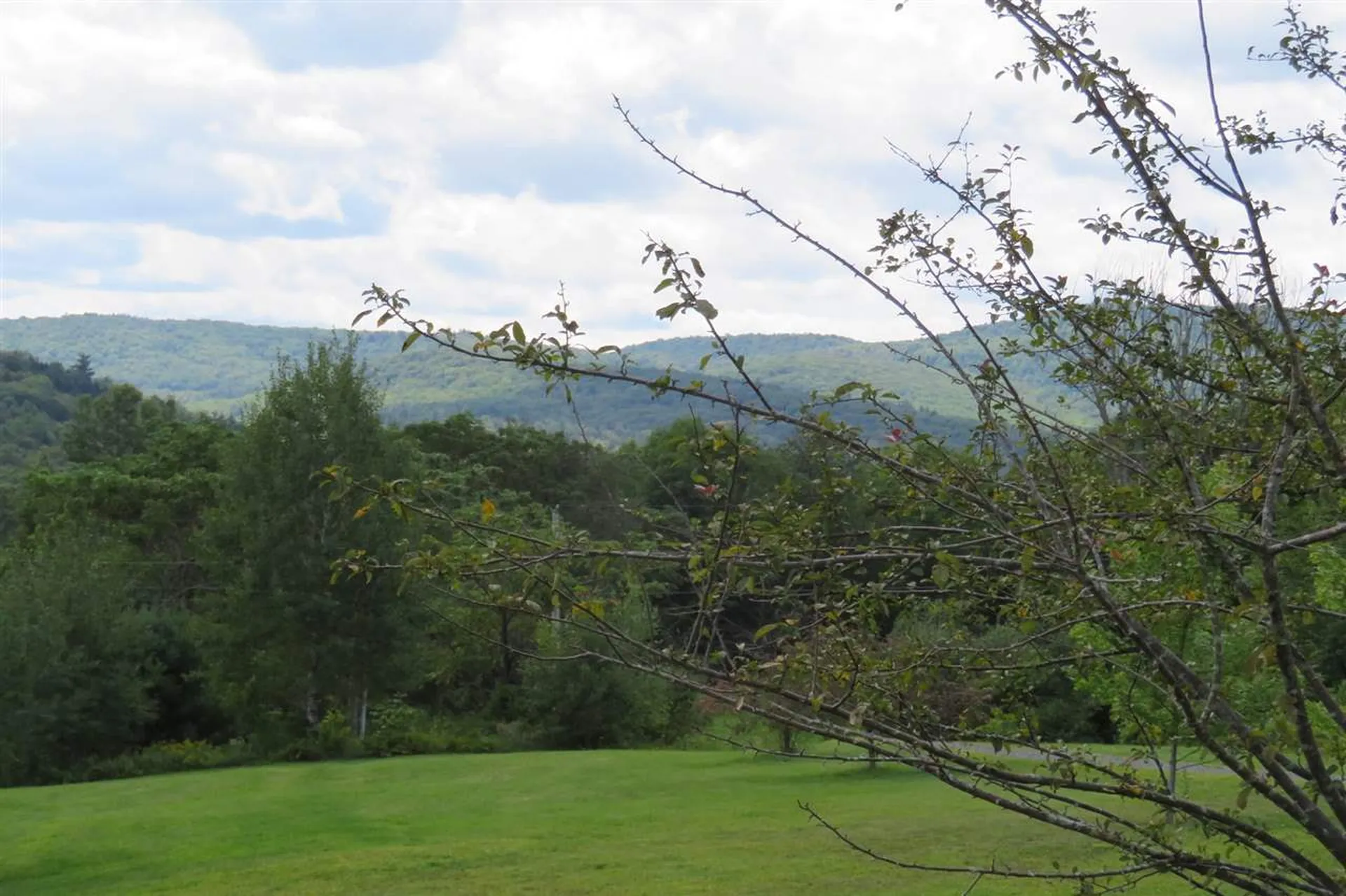 154 Deer Brook Way Woodstock VT 05091