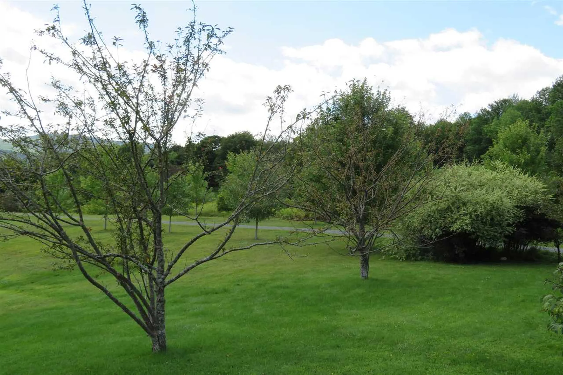 154 Deer Brook Way Woodstock VT 05091