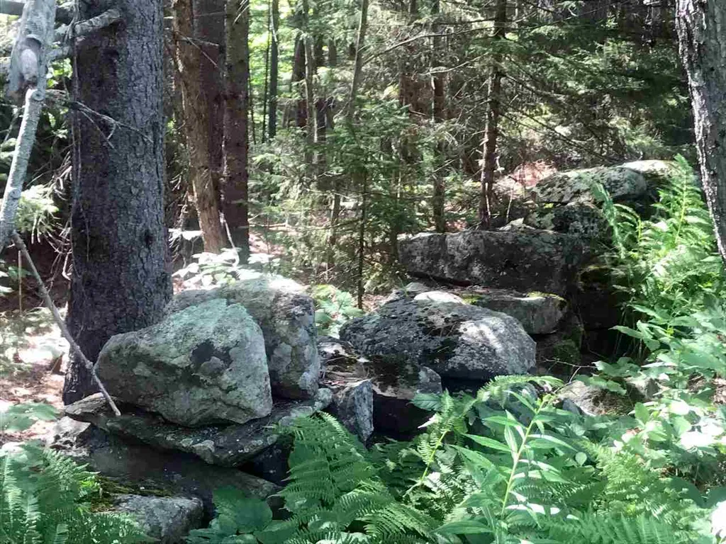 00 Shunpike Road Mount Holly VT 05758