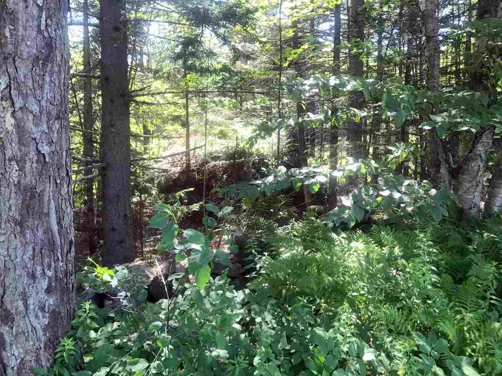 00 Shunpike Road Mount Holly VT 05758