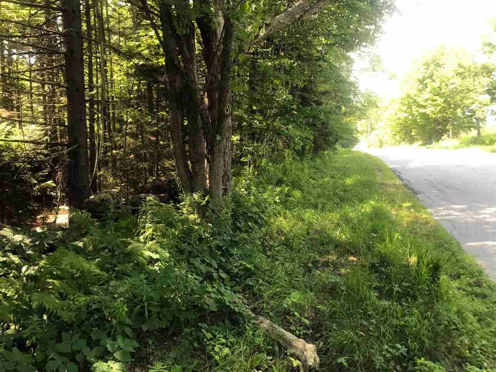 00 Shunpike Road Mount Holly VT 05758