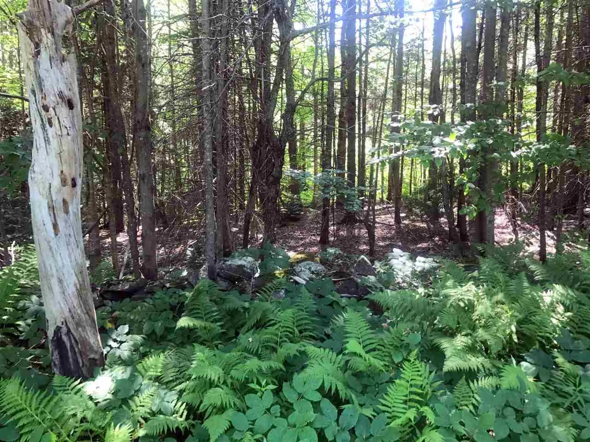 00 Shunpike Road Mount Holly VT 05758