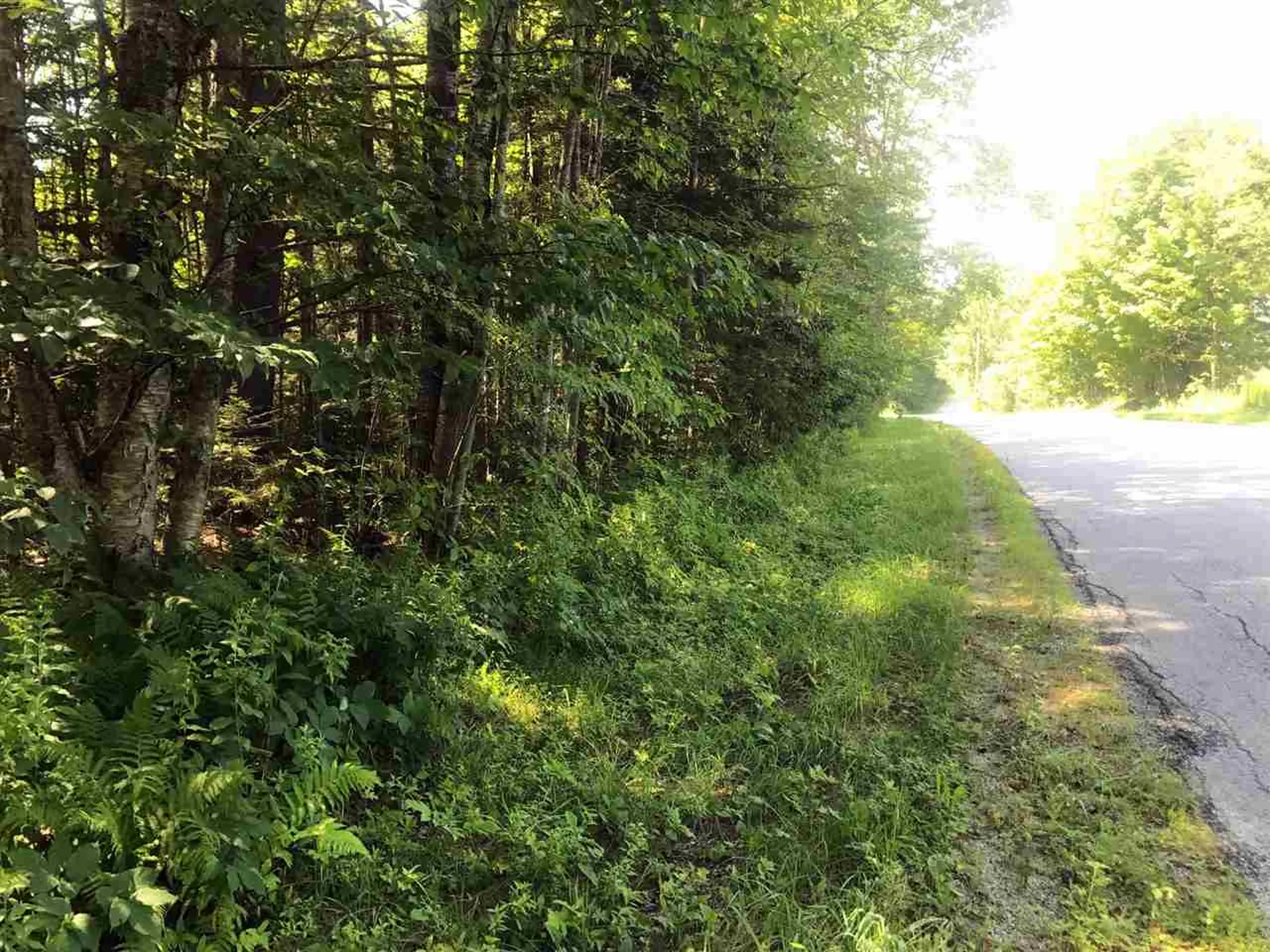 00 Shunpike Road Mount Holly VT 05758