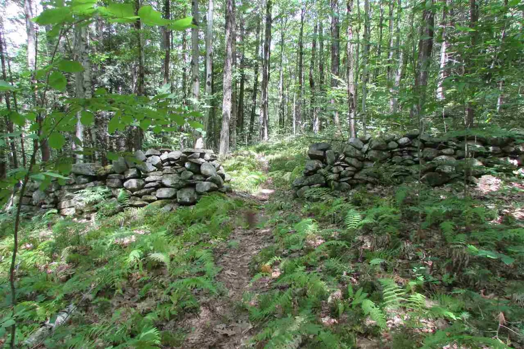 51 Meetinghouse Road Norwich VT 05055