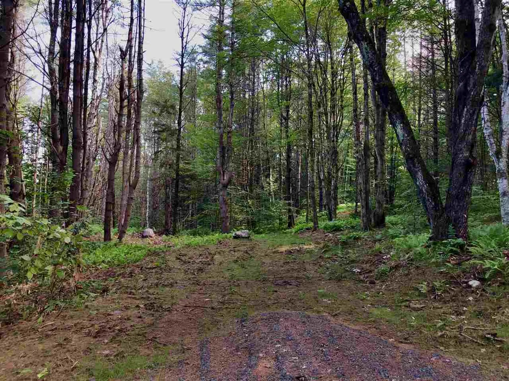 51 Meetinghouse Road Norwich VT 05055