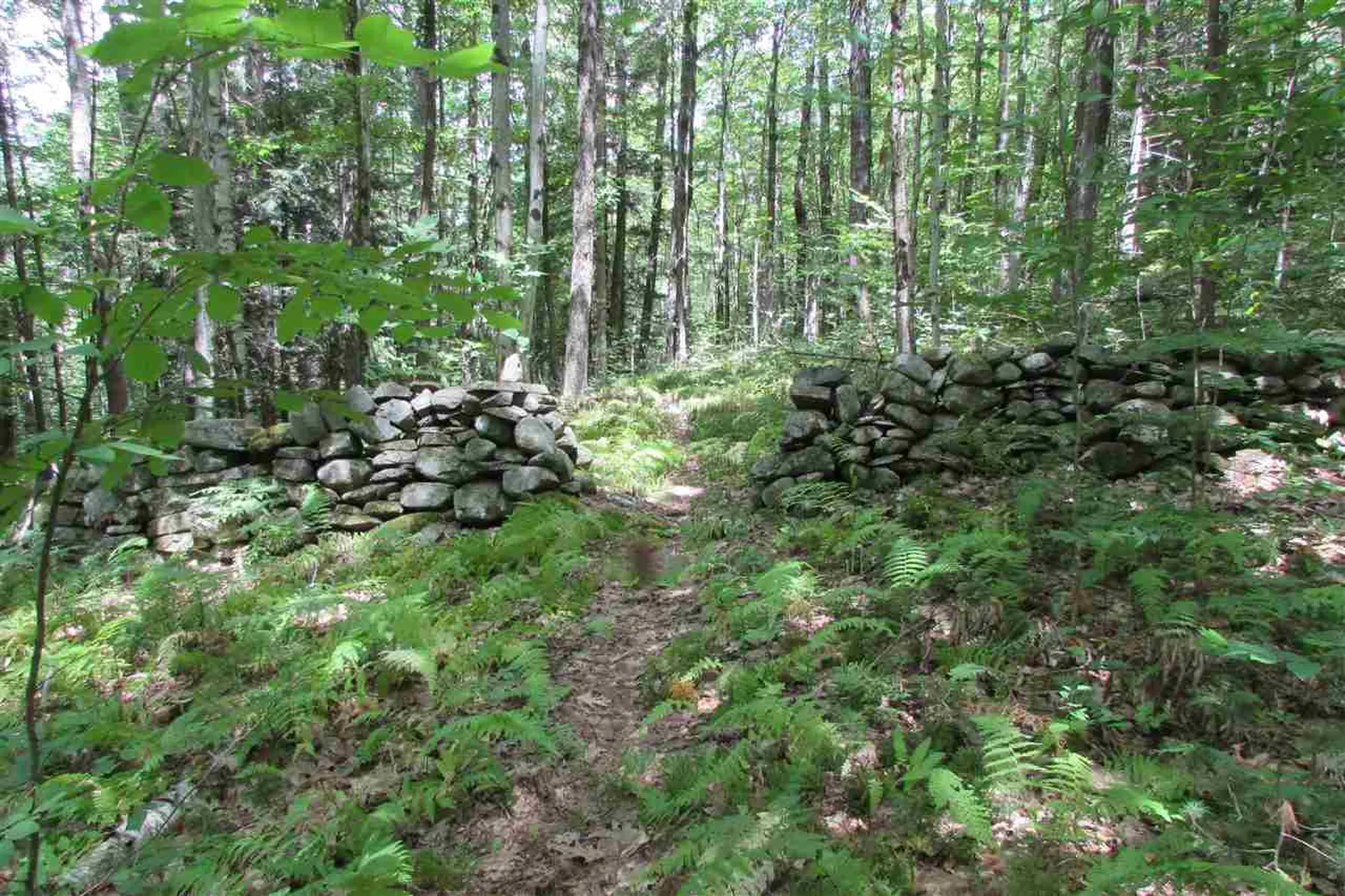 51 Meetinghouse Road Norwich VT 05055