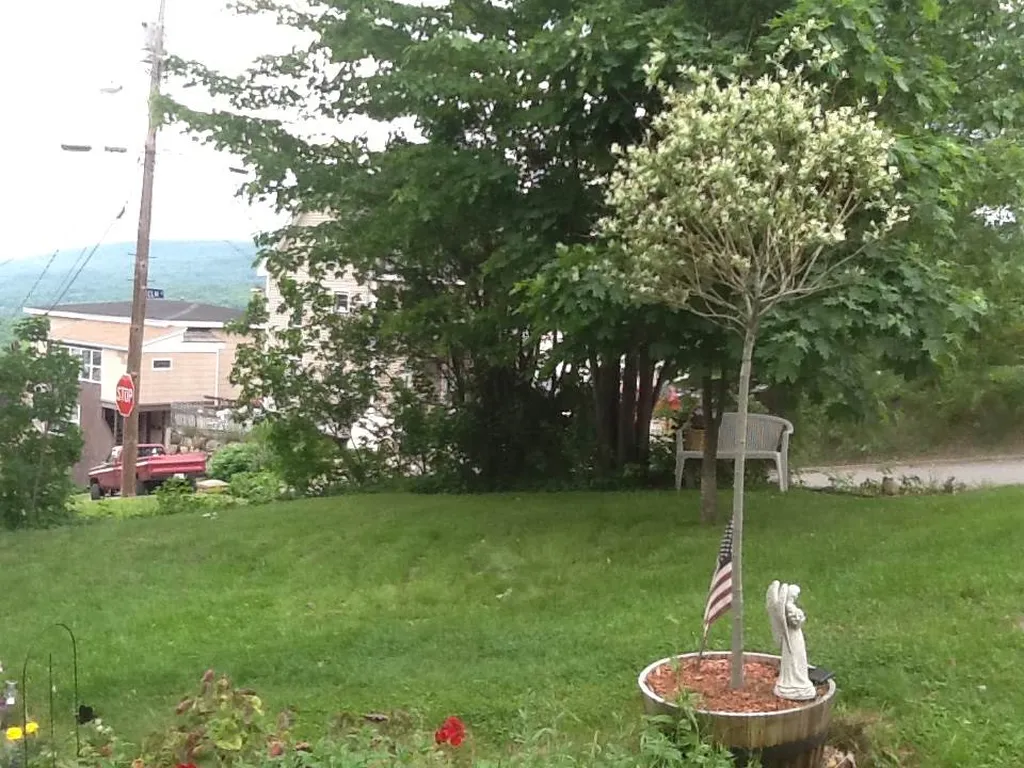 129 Elm Street Berlin NH 03570