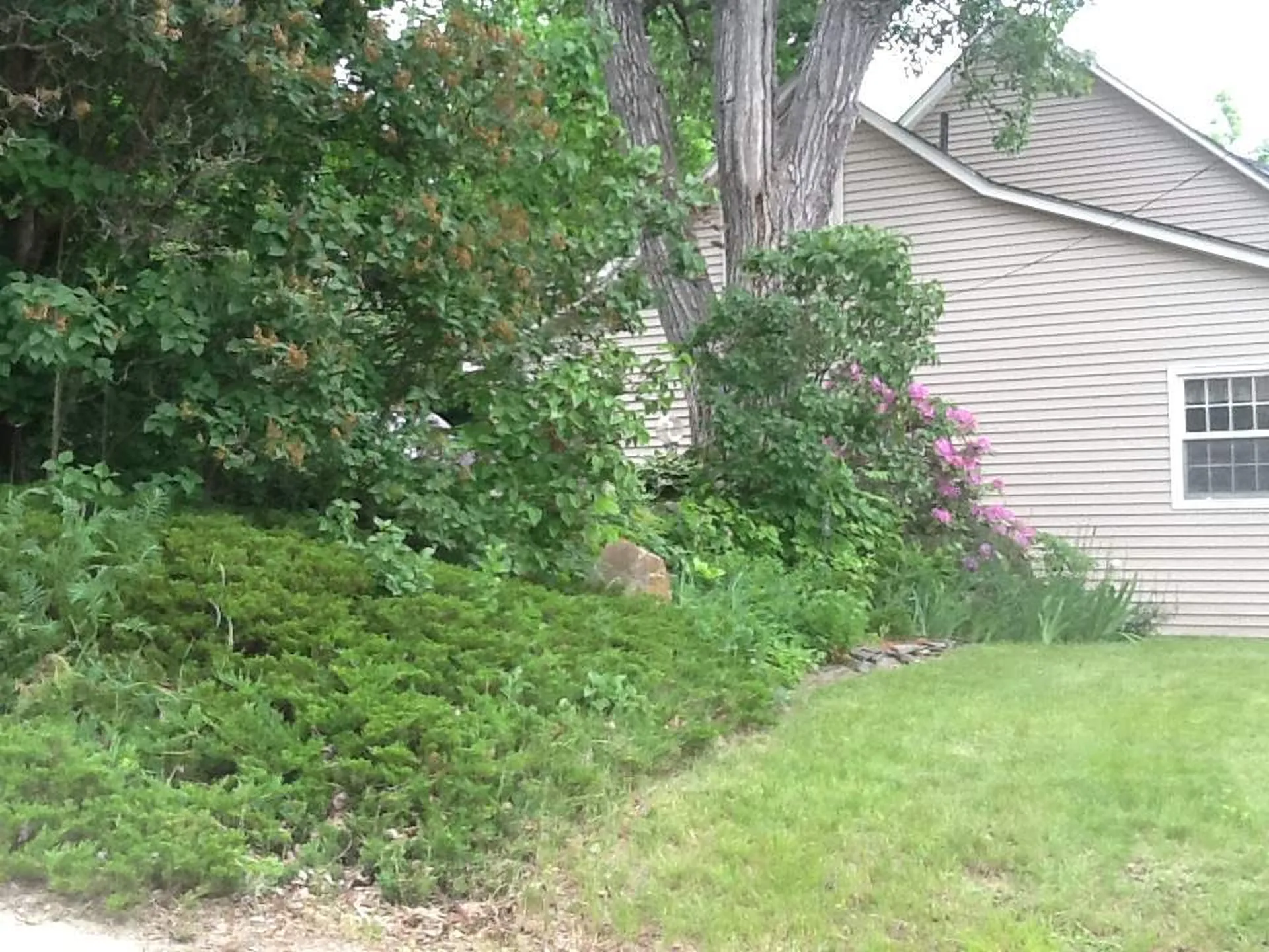 129 Elm Street Berlin NH 03570