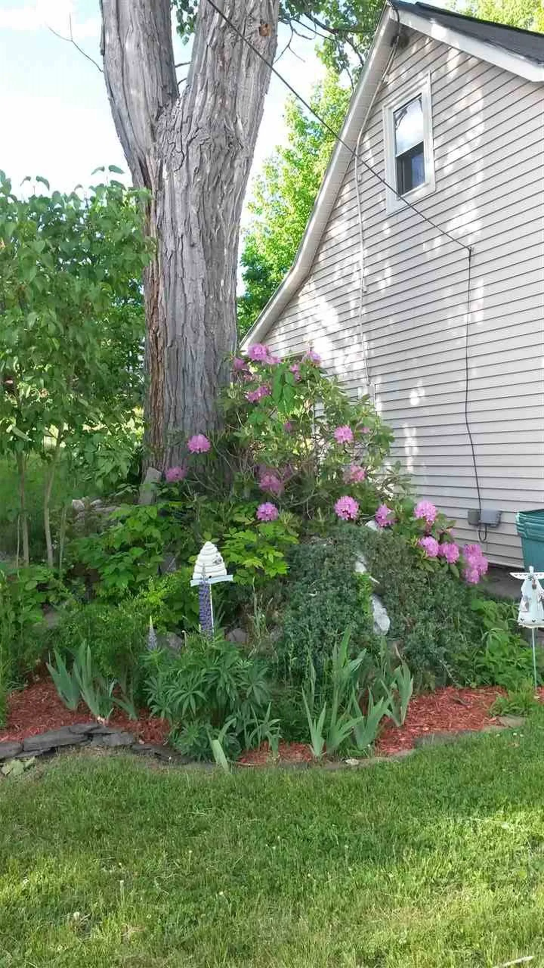 129 Elm Street Berlin NH 03570