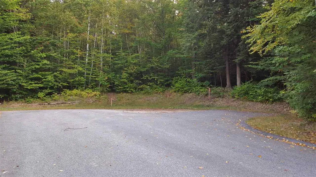114-47 Mansion Hill Drive Lincoln NH 03251