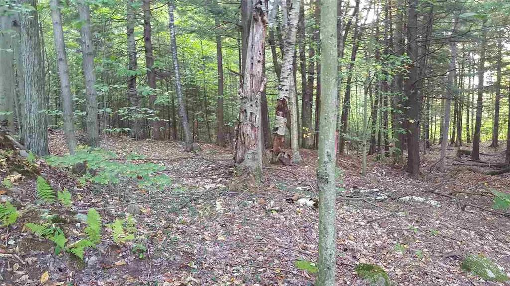 114-47 Mansion Hill Drive Lincoln NH 03251