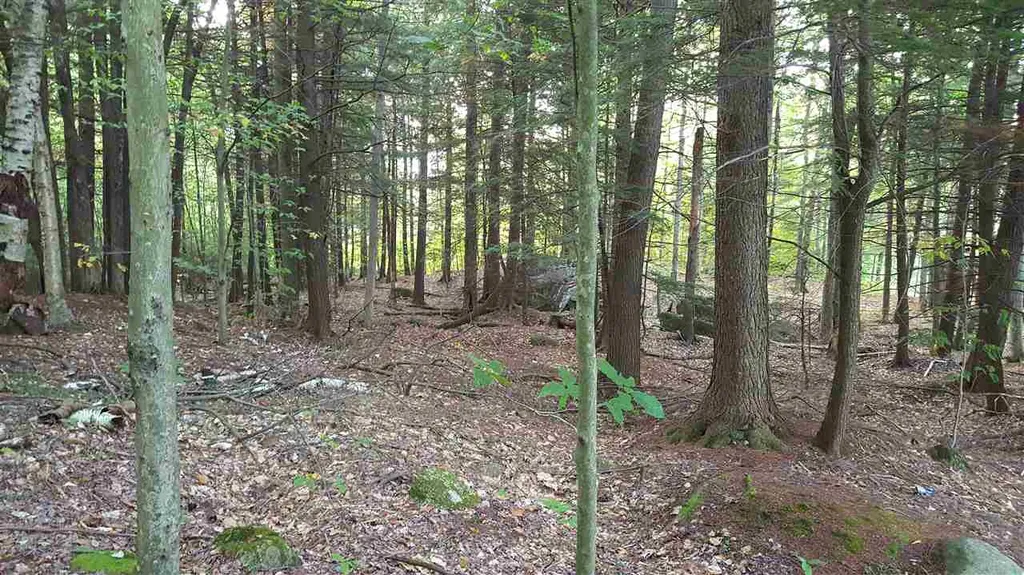 114-47 Mansion Hill Drive Lincoln NH 03251