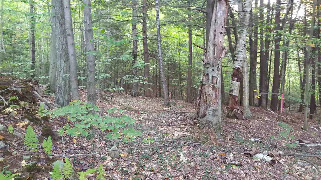 114-47 Mansion Hill Drive Lincoln NH 03251