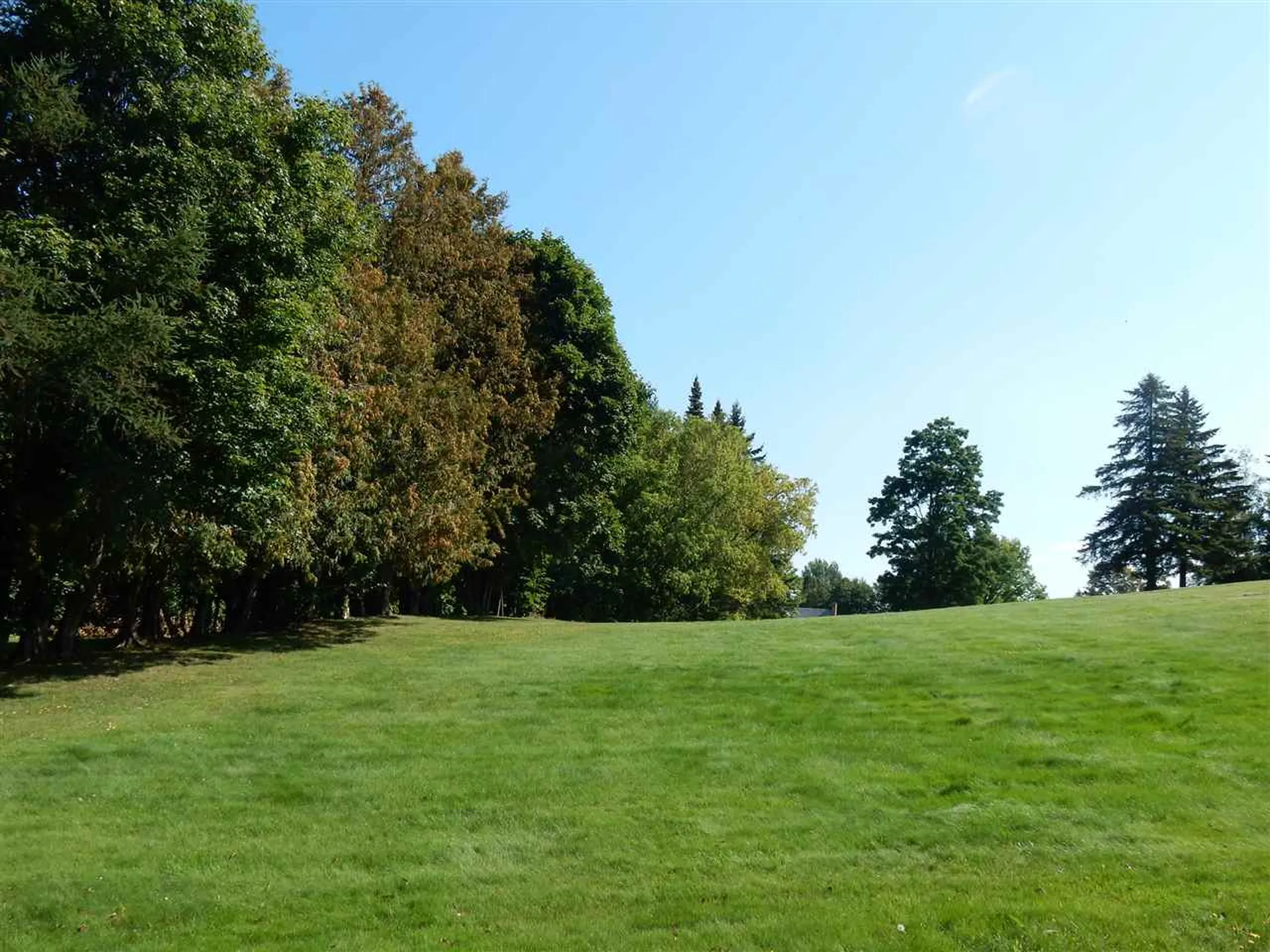 Pelow Hill Derby VT 05830