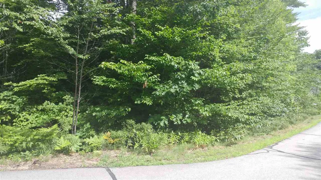 132 Samuel Hale Drive Hales Location NH 03860