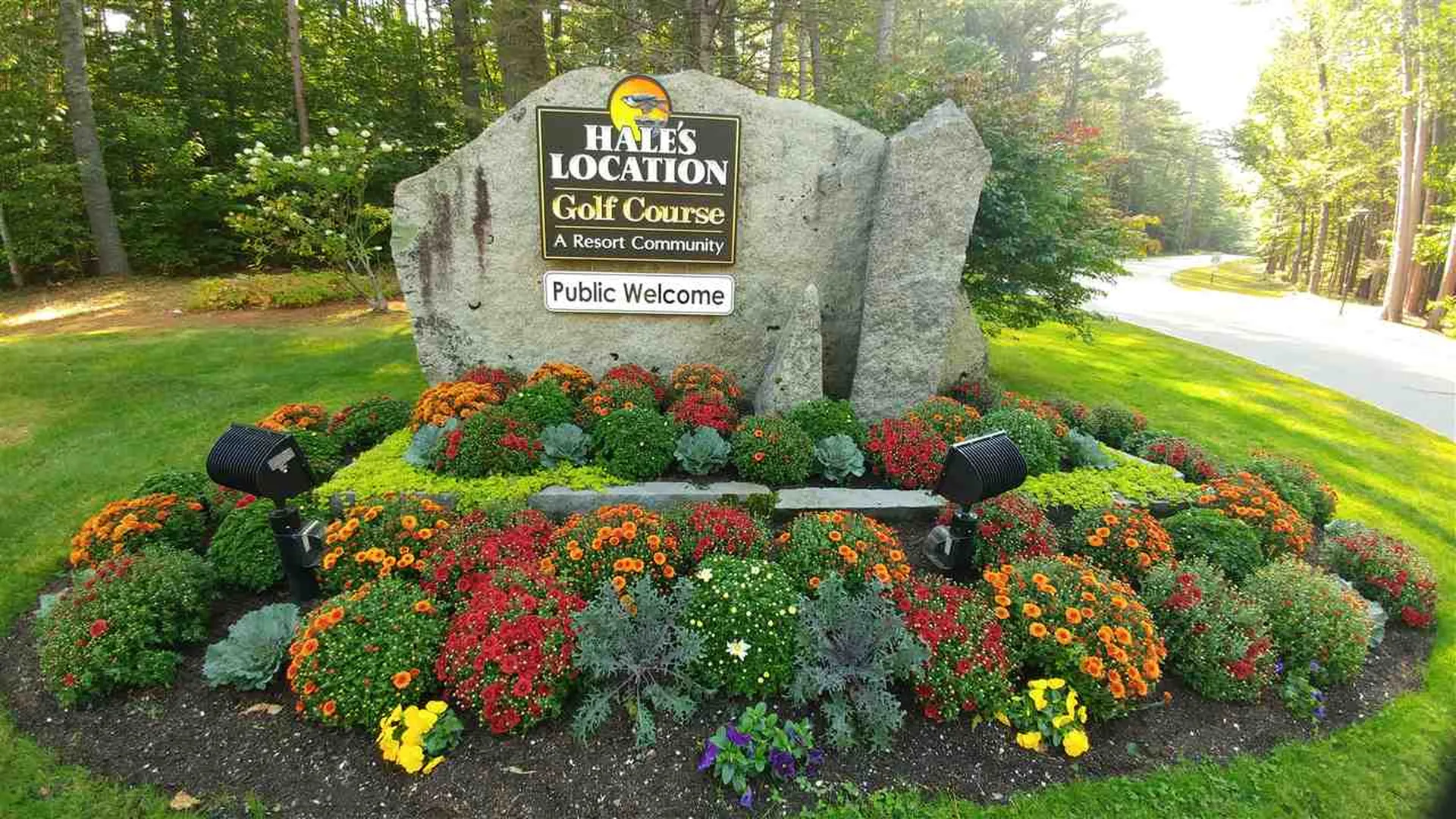 132 Samuel Hale Drive Hales Location NH 03860