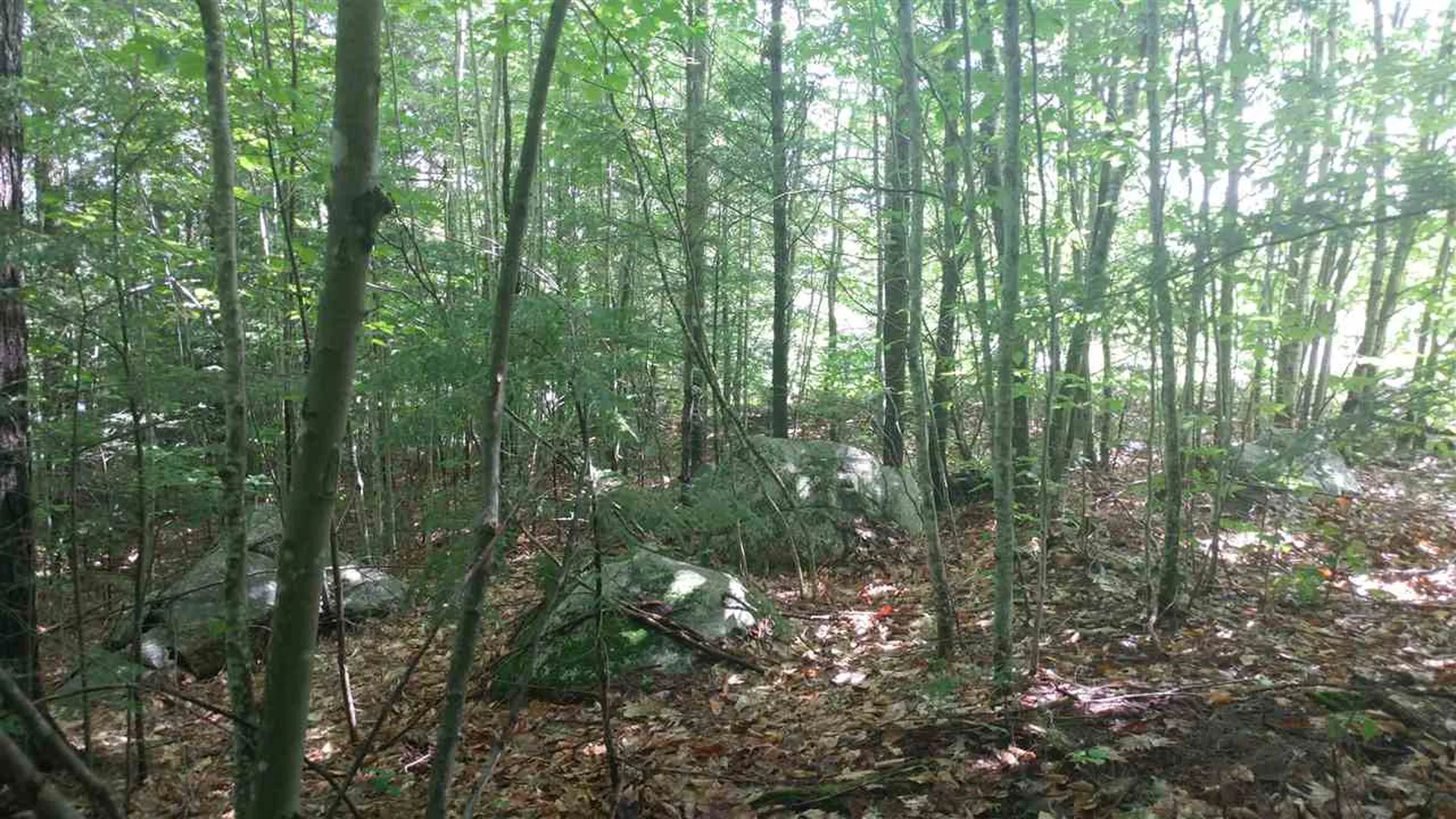 132 Samuel Hale Drive Hales Location NH 03860