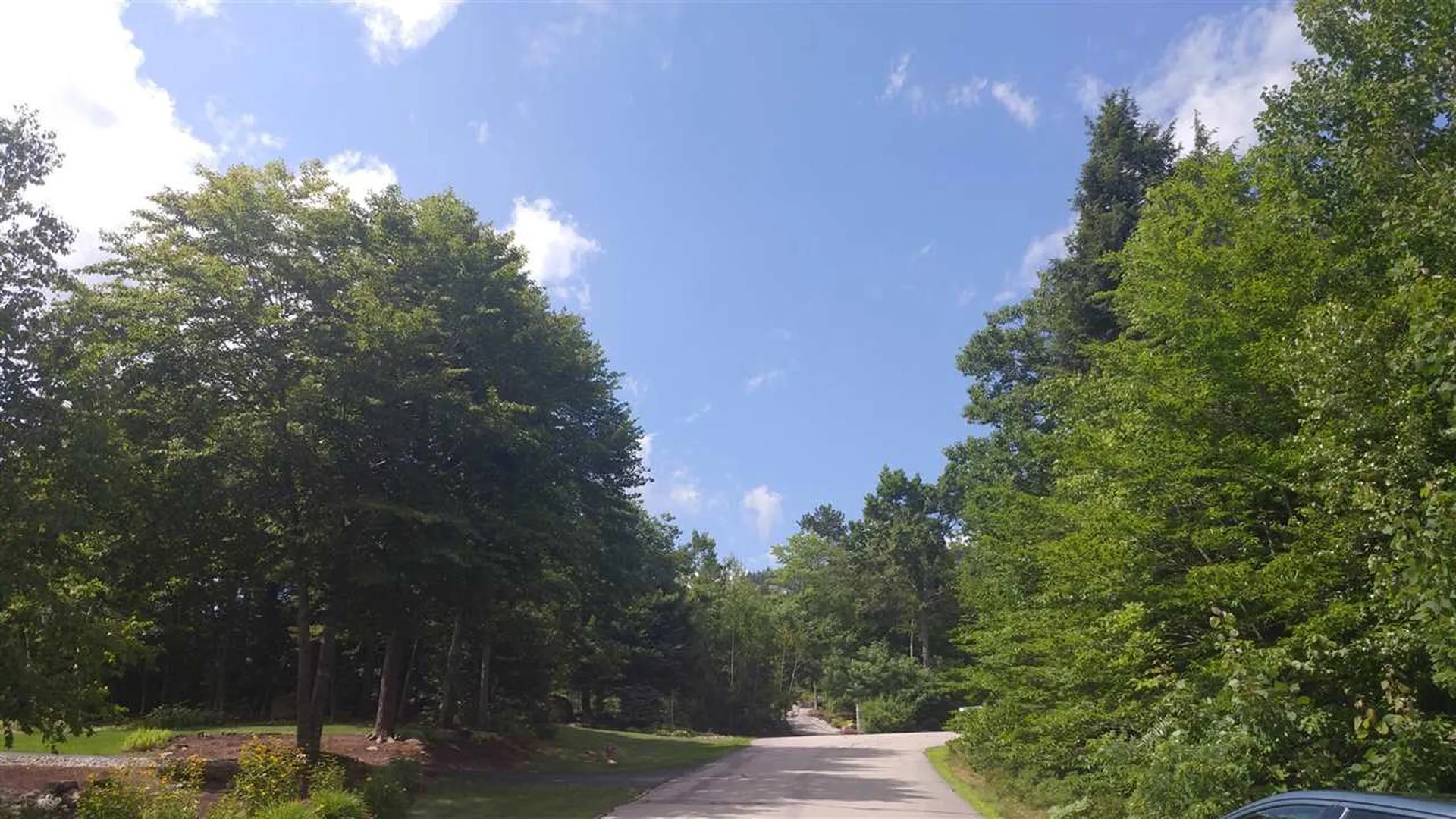 132 Samuel Hale Drive Hales Location NH 03860