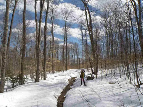 0 Herring Brook Road Moretown VT 05660