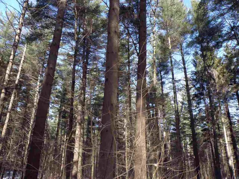 0 Herring Brook Road Moretown VT 05660