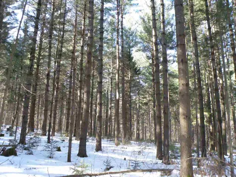 0 Herring Brook Road Moretown VT 05660