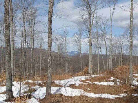 0 Herring Brook Road Moretown VT 05660