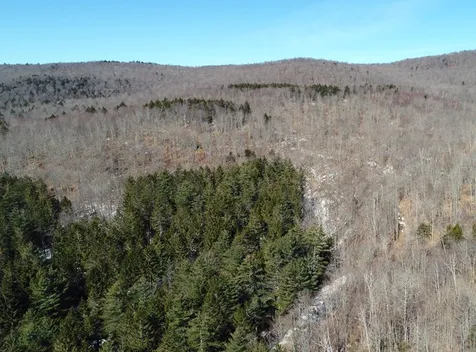 0 Herring Brook Road Moretown VT 05660