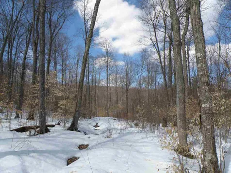 0 Herring Brook Road Moretown VT 05660
