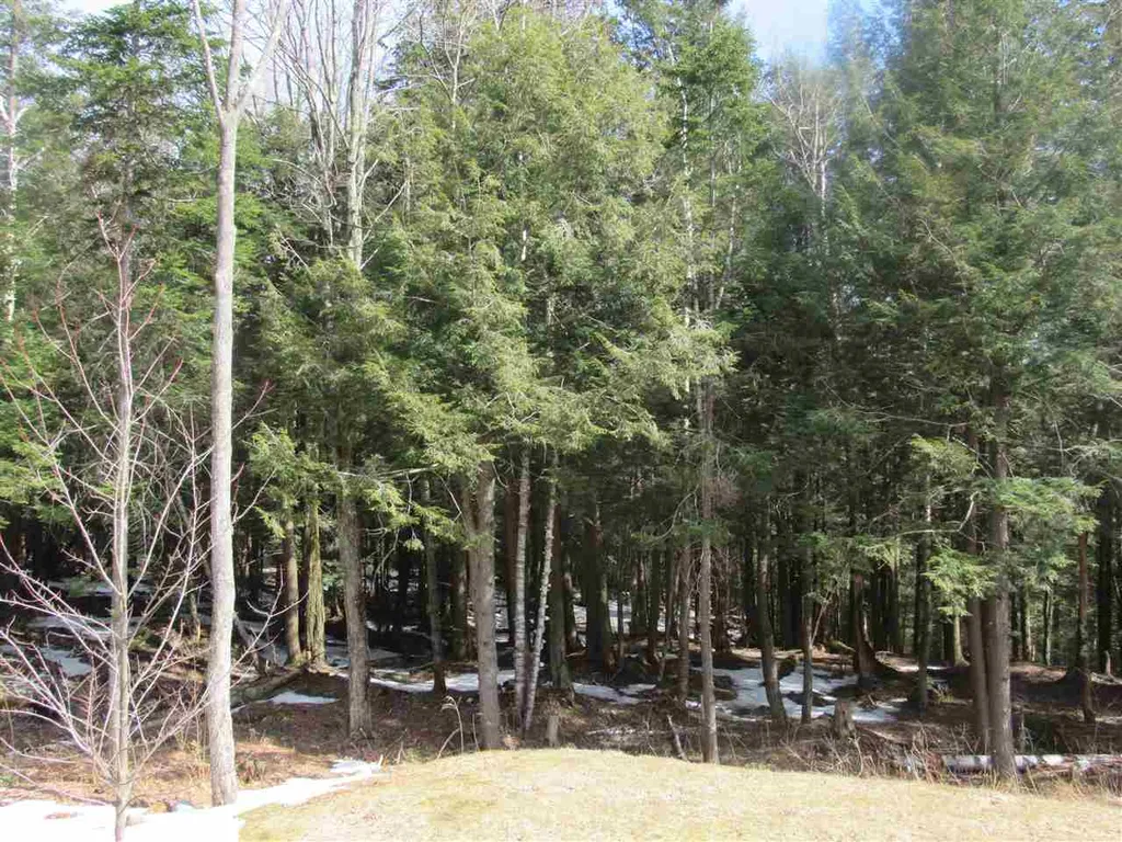 22 Wilderness Road Jay VT 05859