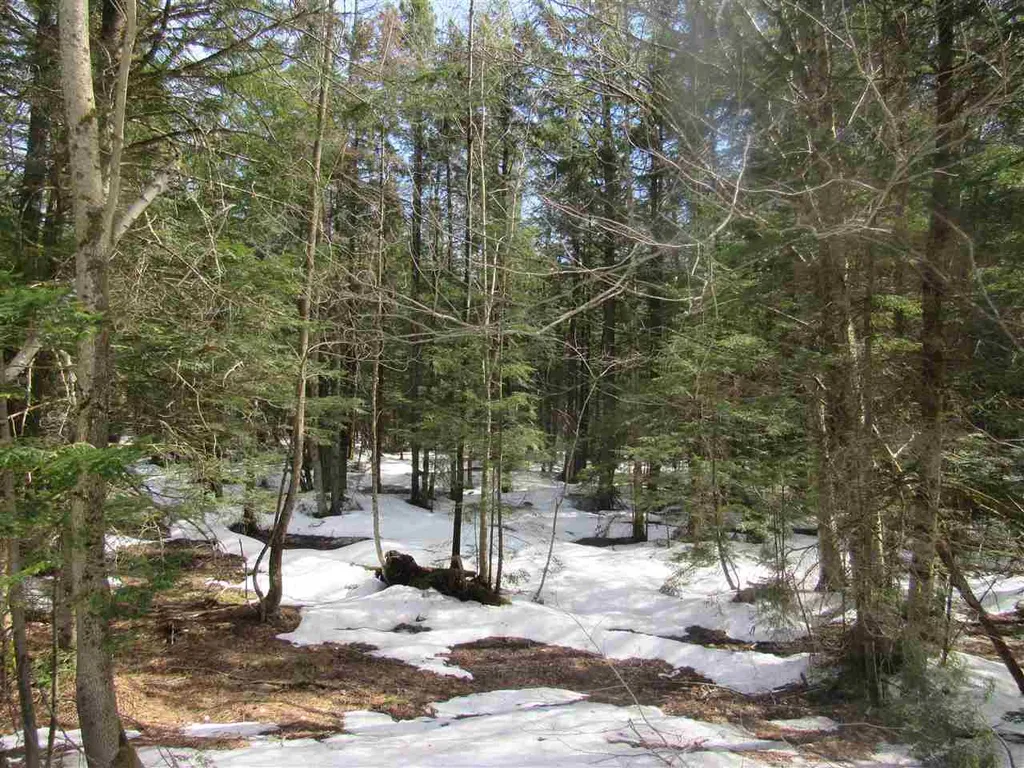 22 Wilderness Road Jay VT 05859