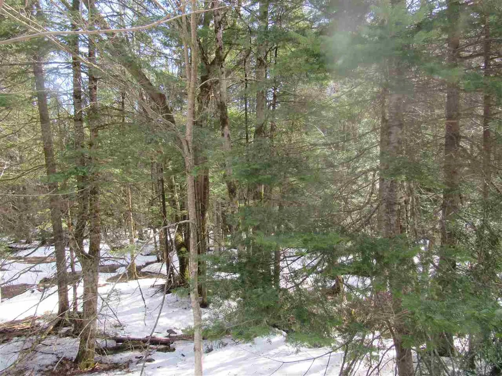 22 Wilderness Road Jay VT 05859