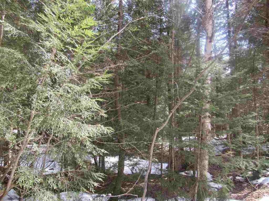 22 Wilderness Road Jay VT 05859