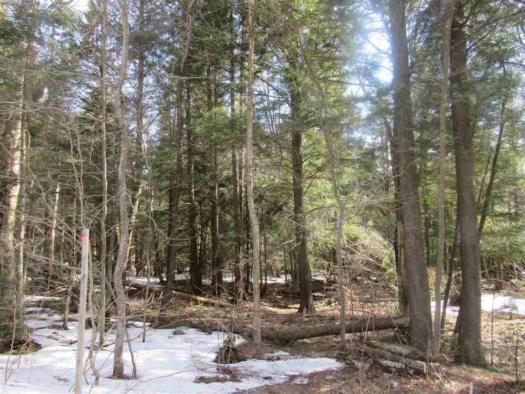 22 Wilderness Road Jay VT 05859