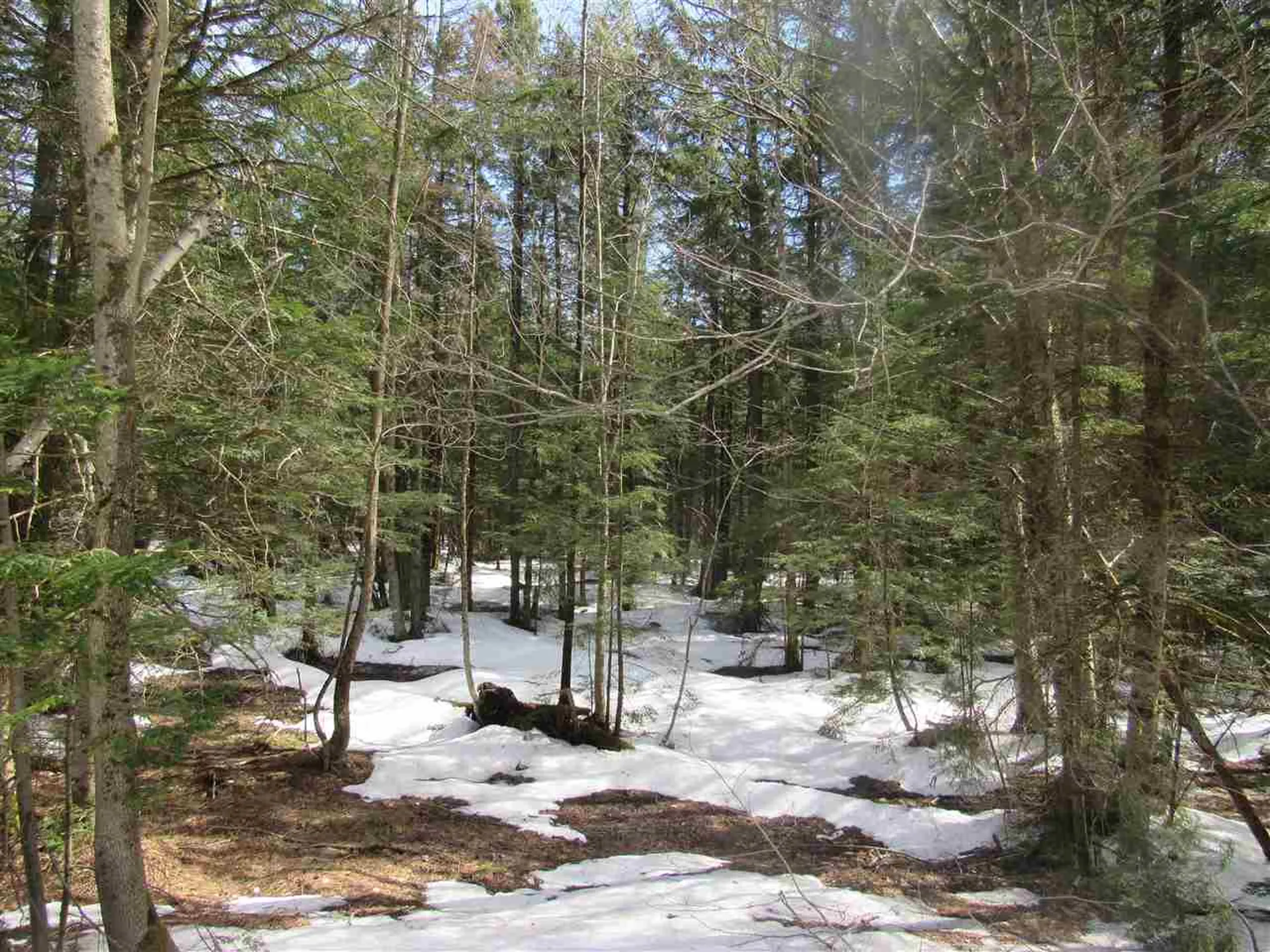22 Wilderness Road Jay VT 05859