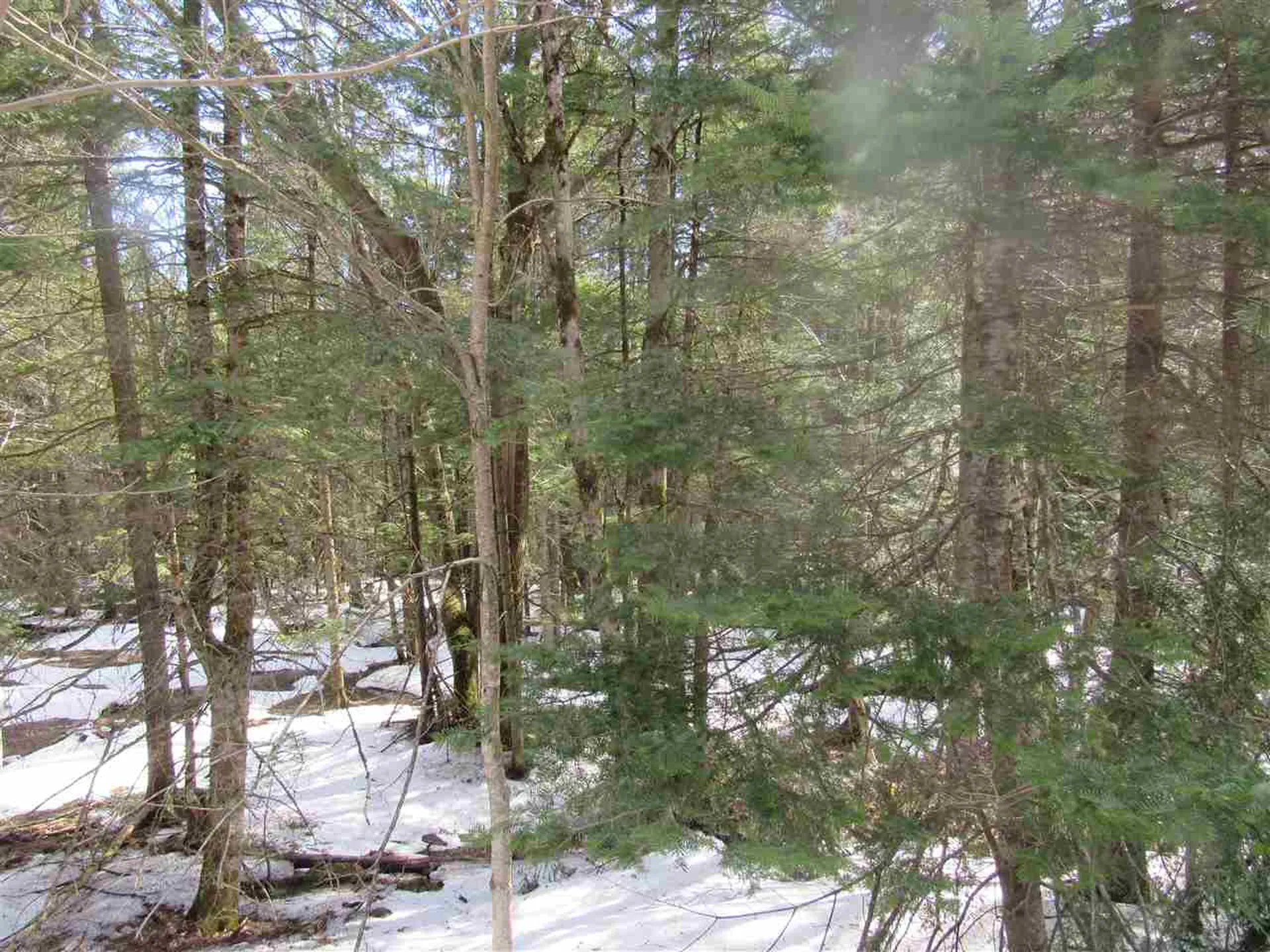 22 Wilderness Road Jay VT 05859