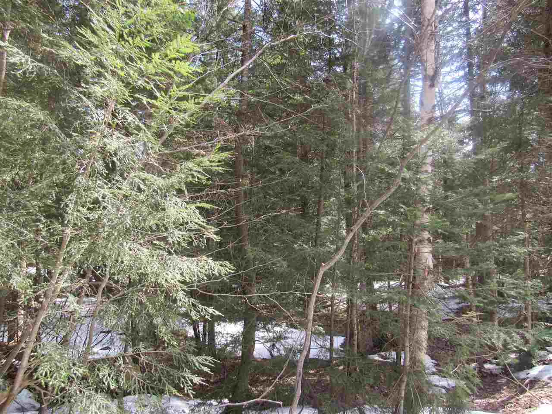 22 Wilderness Road Jay VT 05859